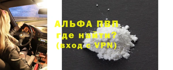 крисы Новокубанск
