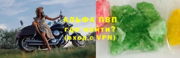 крисы Новокубанск