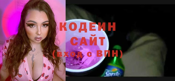 сатива Нягань