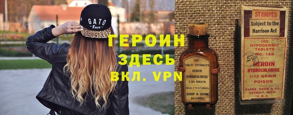сатива Новозыбков