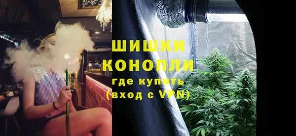 сатива Нягань