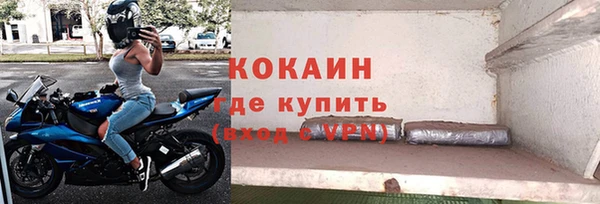 крисы Новокубанск