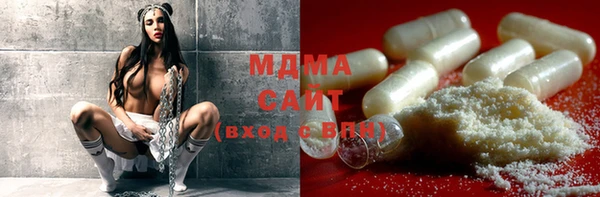 сатива Новозыбков