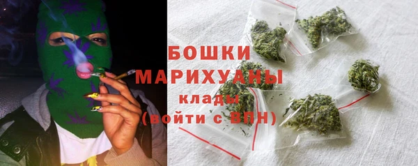 сатива Новозыбков