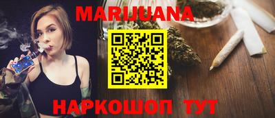 мдпв Новозыбков