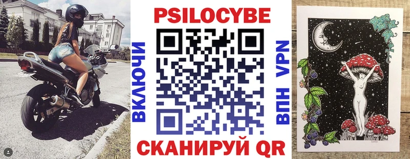 продажа наркотиков  Шали  Псилоцибиновые грибы GOLDEN TEACHER 
