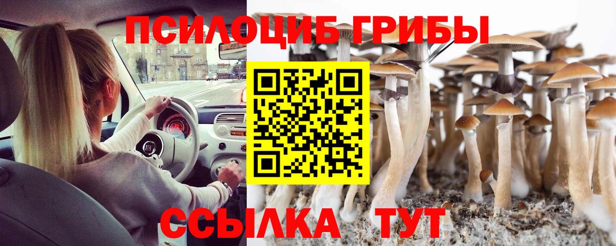 Шали  Галлюциногенные грибы Psilocybine cubensis  Вход с VPN 