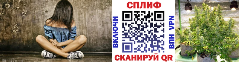 Бошки марихуана гибрид  Шали 