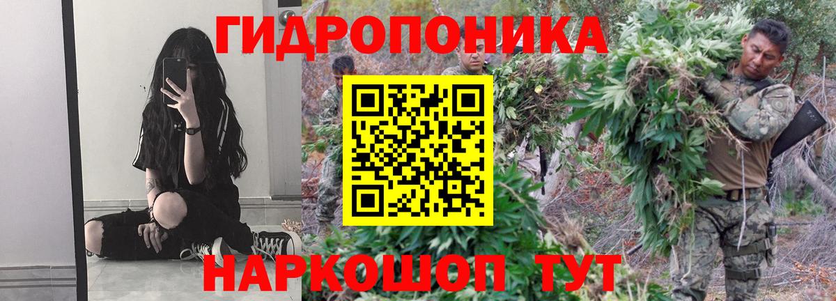 Бошки марихуана марихуана  Бошки марихуана White Widow  Конопля ГИДРОПОН  Шали  Вход с VPN  Каннабис SATIVA & INDICA 
